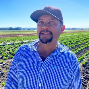 Middle-aged farmer in a lush green field, showcasing a vibrant agricultural landscape.