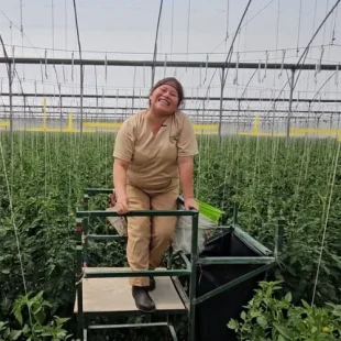 Joyful woman harvesting plants in a vibrant greenhouse, surrounded by lush greenery.