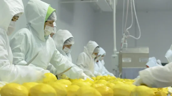 Workers in protective gear process fresh lemons in a hygienic food processing facility.
