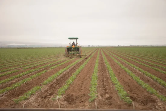 Tractor plowing green agricultural field, showcasing modern farming practices and lush crop growth.